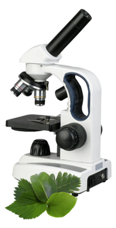 Illustration : microscope